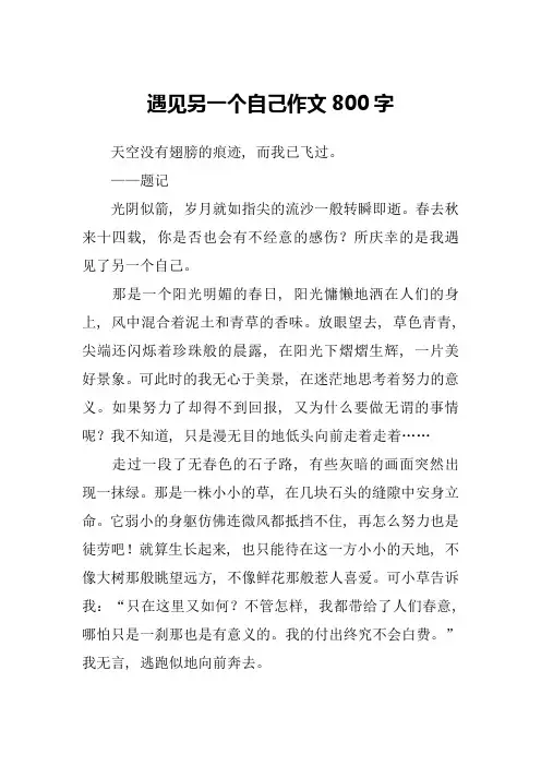 遇见另一个自己作文800字-15
