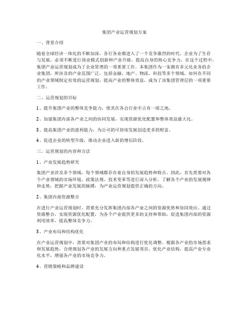 集团产业运营规划方案