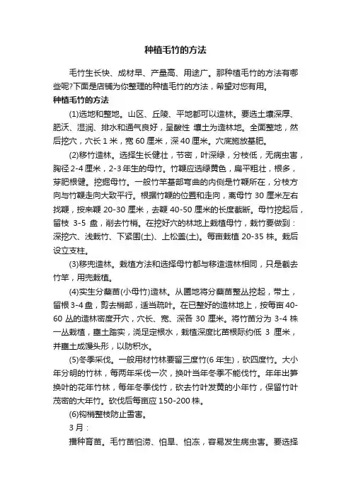 种植毛竹的方法