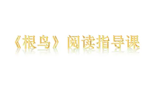 《根鸟》阅读指导课课件