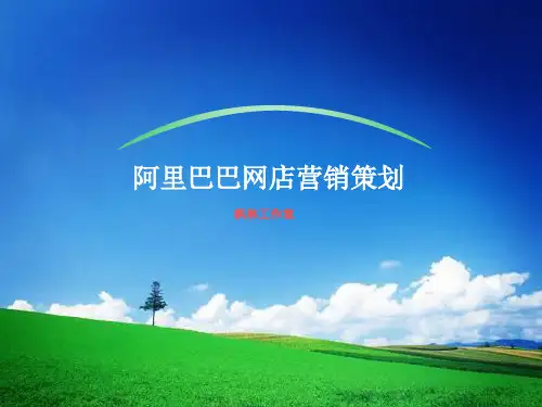 阿里巴巴网店营销策划方案