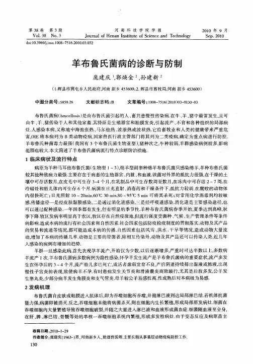 羊布鲁氏菌病的诊断与防制