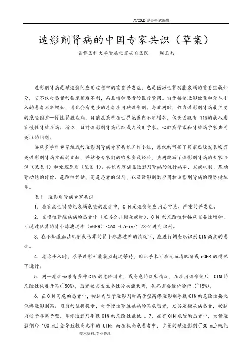 造影剂肾病的我国专家共识[草案]