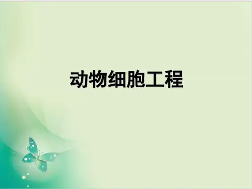 人教版高中生物选修三 动物细胞工程 教用课件