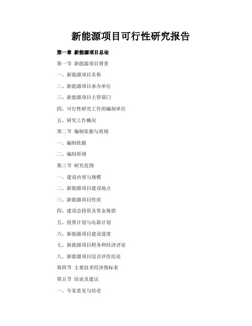 新能源项目可行性研究报告