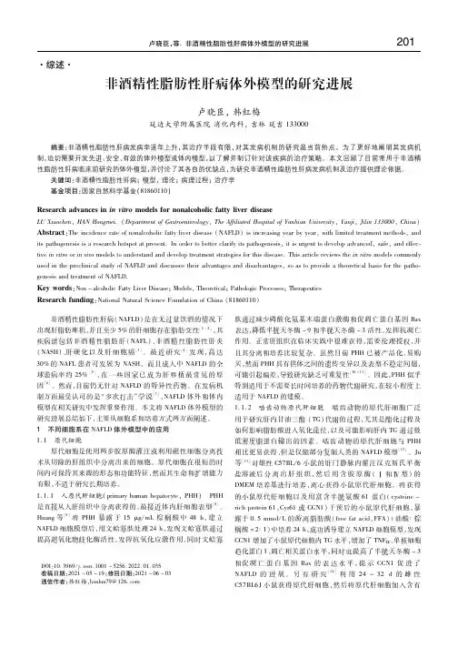 非酒精性脂肪性肝病体外模型的研究进展