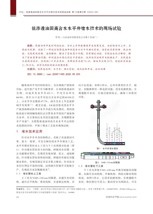 低渗透油田高含水水平井堵水技术的现场试验
