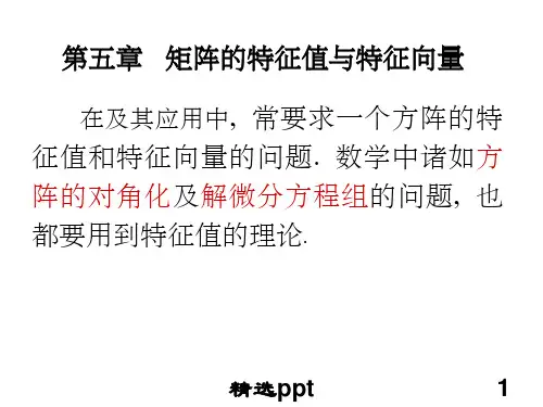 矩阵的特征值与特征向量