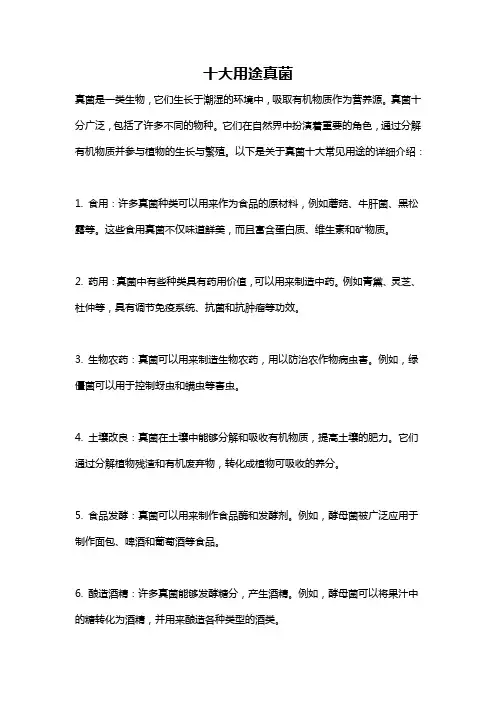 十大用途真菌