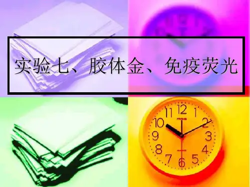 免疫学实验 胶体金、免疫荧光