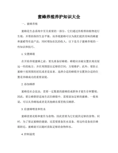 蜜蜂养殖养护知识大全