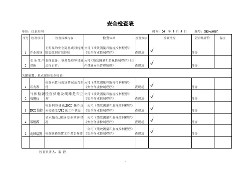 仪表安全检查表