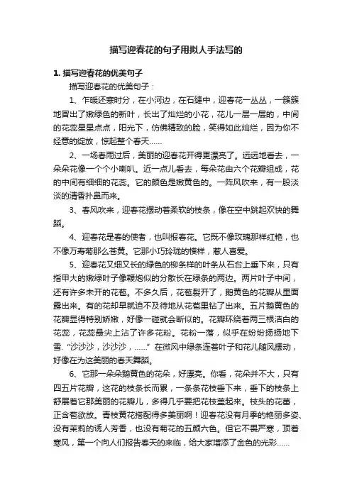描写迎春花的句子用拟人手法写的