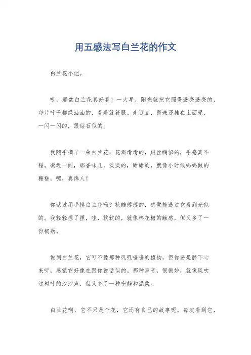 用五感法写白兰花的作文
