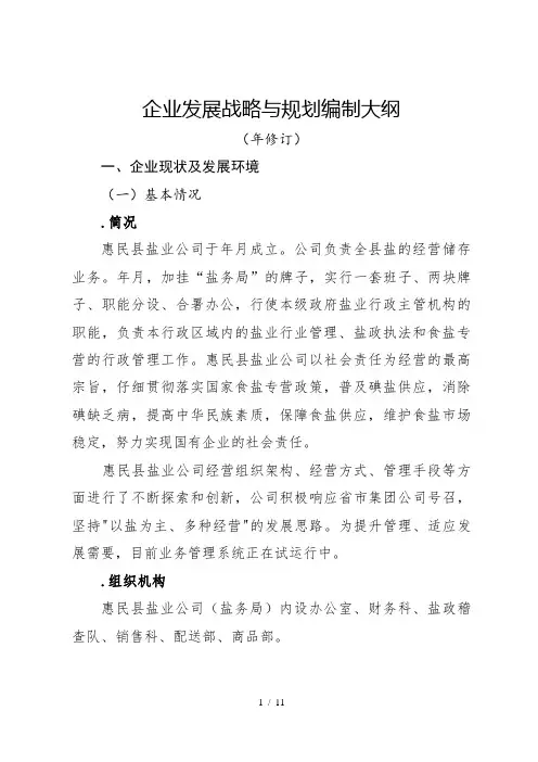 企业发展战略与规划编制大纲