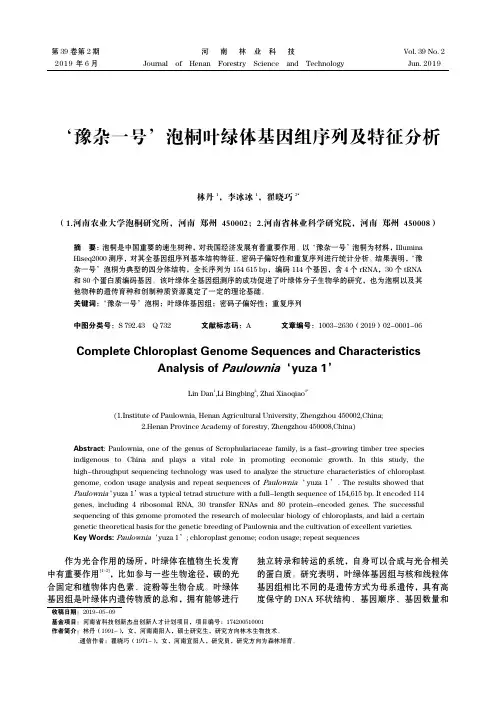 豫杂一号’泡桐叶绿体基因组序列及特征分析