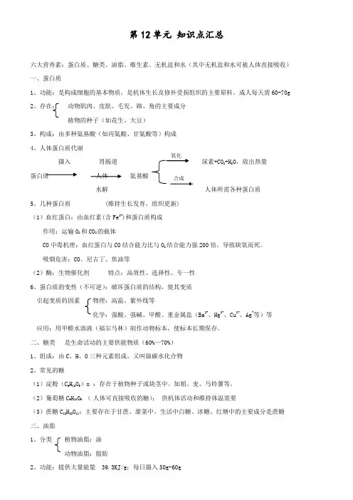 最新人教版初中化学九年级下册《第12单元-化学与生活》知识点汇总