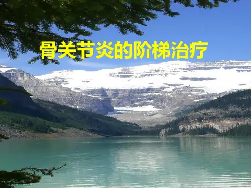 骨关节炎的阶梯治疗