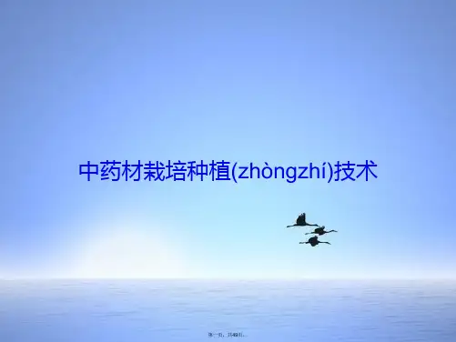 中药材栽培种植技术