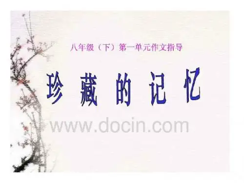 珍藏的记忆jinag