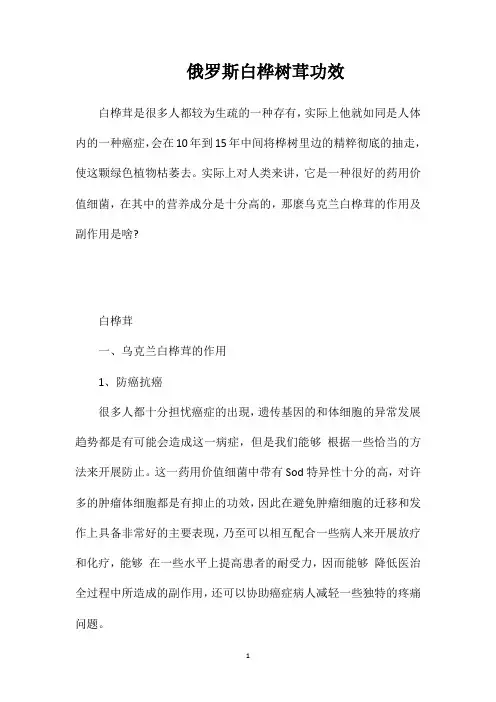 俄罗斯白桦树茸功效