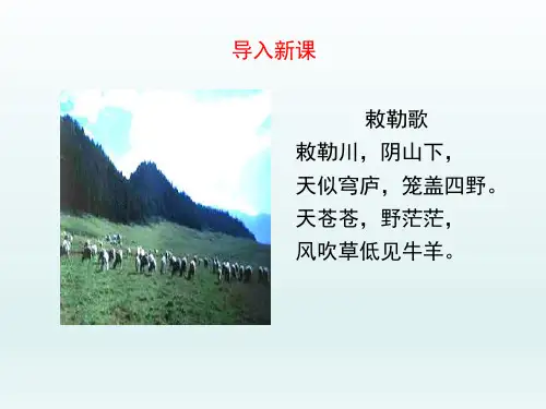 人教版初中七年级历史PPT课件-北方民族大融合