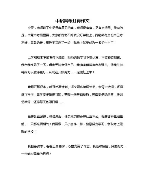 中招备考打算作文