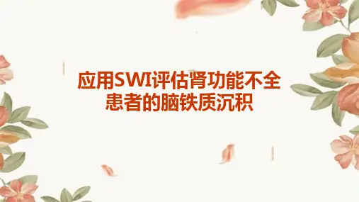 应用SWI评估肾功能不全患者的脑铁质沉积