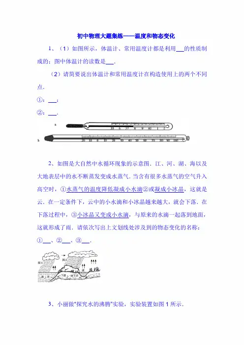 2020年中考物理总复习初中物理大题专题集练：温度和物态变化
