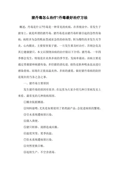 猪丹毒怎么治疗-丹毒最好治疗方法.doc