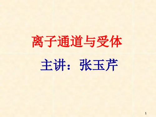 离子通道与受体ppt课件