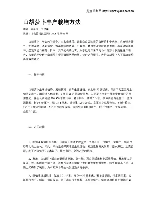 山胡萝卜丰产栽培方法