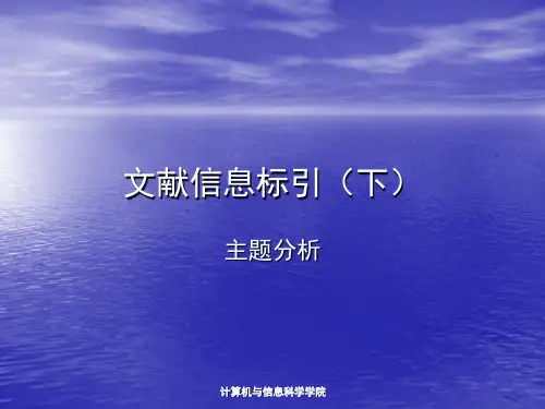 第三章 文献主题分析