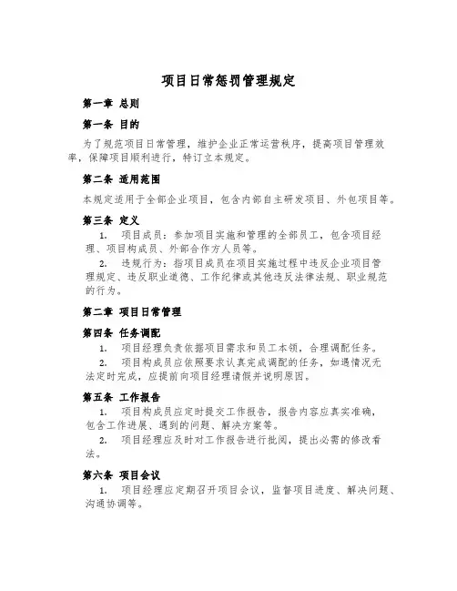 项目日常处罚管理规定