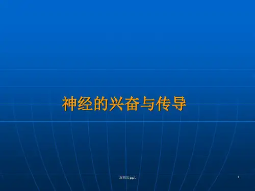神经的兴奋与传导ppt课件