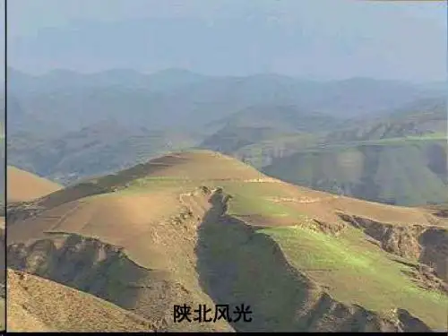 苏教版小学语文六年级上册14  安塞腰鼓