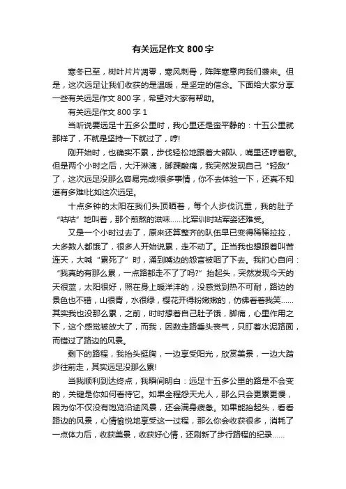有关远足作文800字