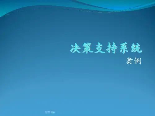 决策支持系统案例