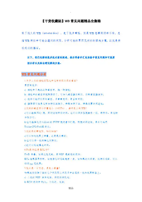 WB免疫印迹实验常见问题全汇总