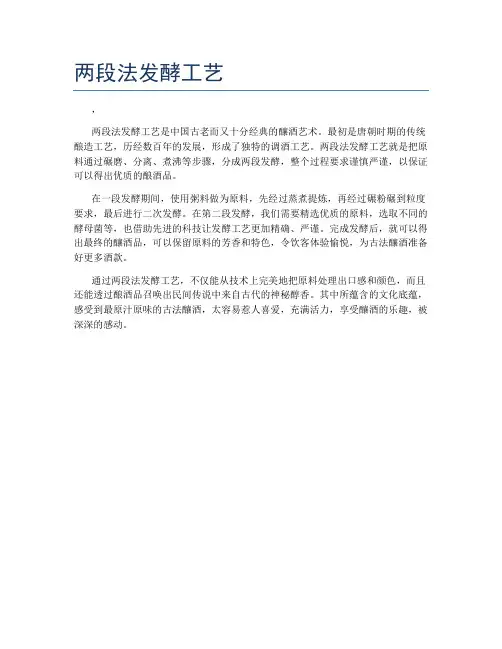 两段法发酵工艺