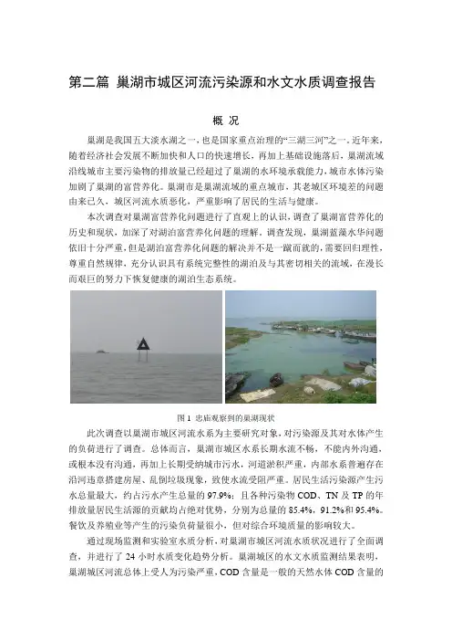 巢湖城市内河水质调查报告