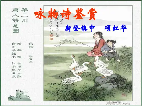 咏物诗鉴赏全面版