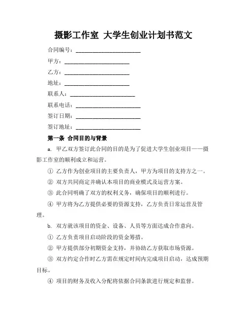 摄影工作室 大学生创业计划书范文