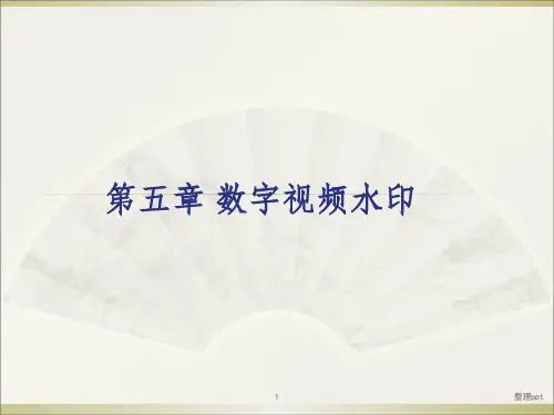 《数字视频水印》PPT课件