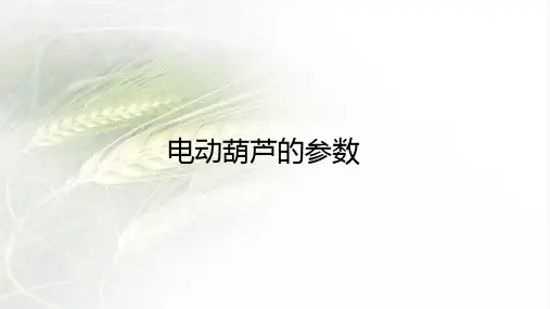 电动葫芦的参数