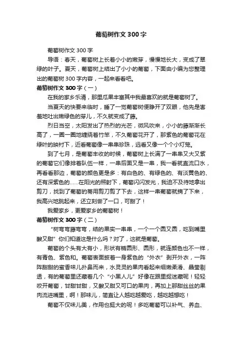 葡萄树作文300字