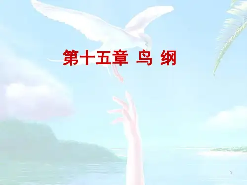 药用动物学第十五章鸟纲ppt课件