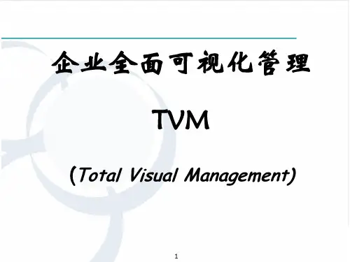 企业全面可视化管理(183P PPT)