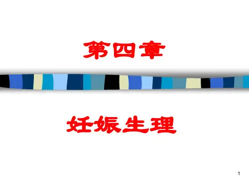妊娠生理和妊娠诊断 妇产科学教学课件