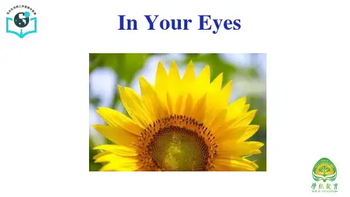 2.13 读后续写In Your Eyes- (课件)-高考英语作文新题型
